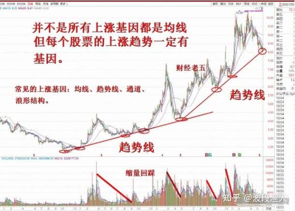 本命年基金扫描:明星基金扎堆 姜还是老的辣 本命年基金扫描:明星基金扎堆 姜还是老的辣