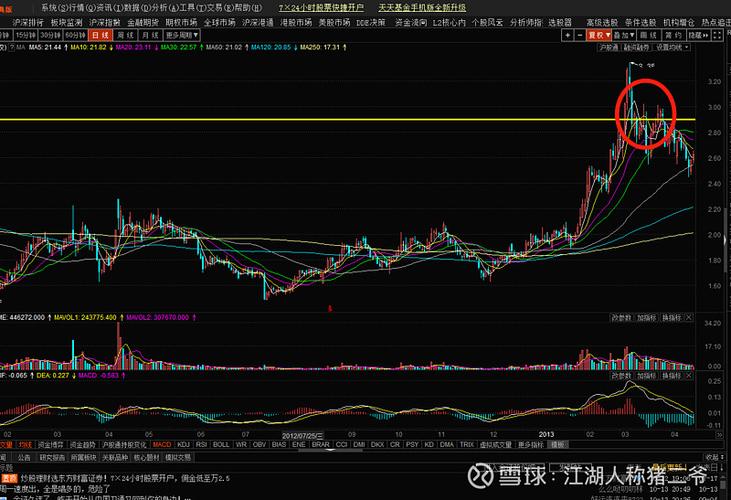 金字火腿股票吧 金字火腿股票吧