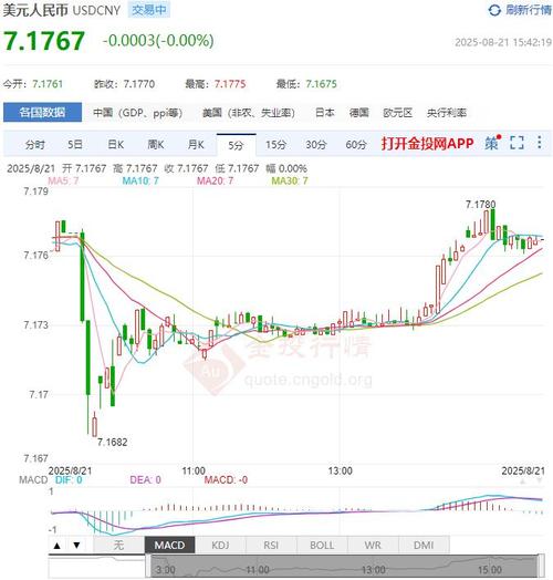 �����13ֻ��Ʊ ����2025�ֲֹ�Ʊ