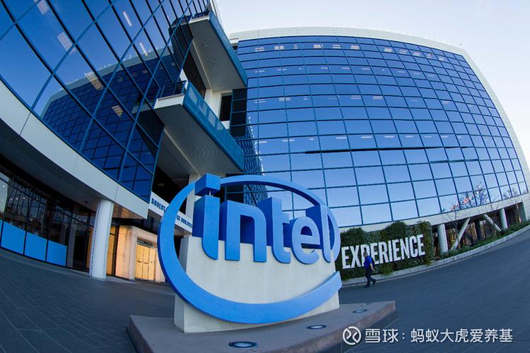 �羳�ʲ����ֳ��� �������ġ�QDIIƵƵ�޹��ɳ�̬