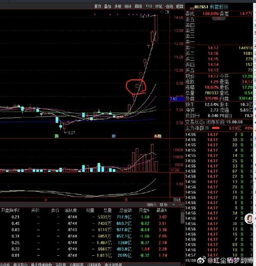 ��ս�������ս ���Ż�����ֱ�����